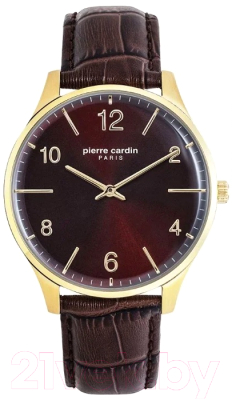 

Часы наручные мужские Pierre Cardin, PC902711F104