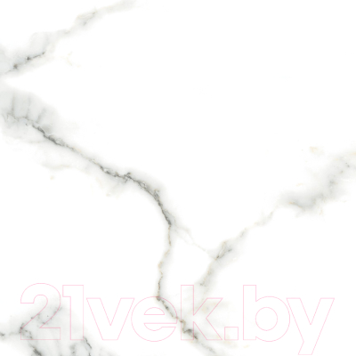 Плитка Netto Gres Carrara Polished (600x600)