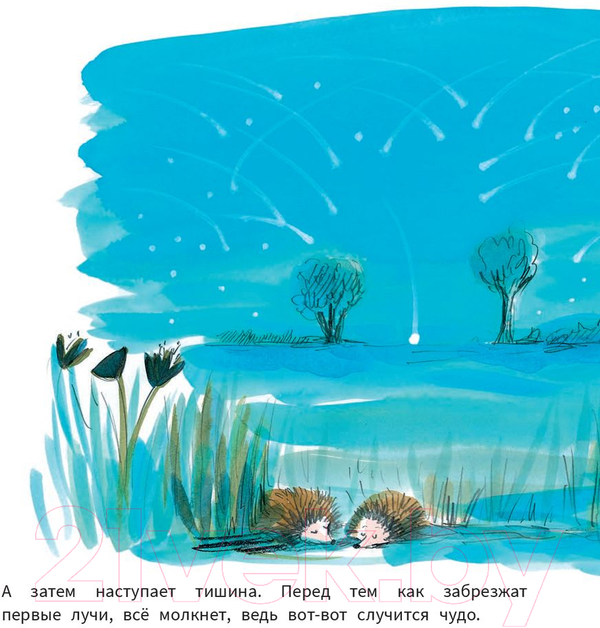 Художественная книга Попурри Рождение Крошки-Малышки (Кимико) — фото 4