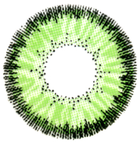 Комплект контактных линз Hera Classic Green Sph-0.00 (2шт) - 