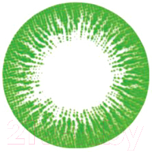 Комплект контактных линз Hera Rise Green Sph-1.00 (2шт)