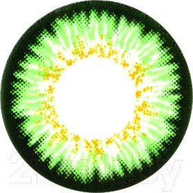 Комплект контактных линз Hera Paradise Green Sph-1.00 (2шт)