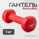 Гантель Sundays Fitness IR92005 (1кг, красный) - 