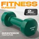 Гантель Sundays Fitness IR92005 (2кг, зеленый) - 