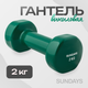 Гантель Sundays Fitness IR92005 (2кг, зеленый) - 