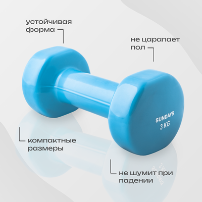 Гантель Sundays Fitness IR92005 (3кг, голубой)