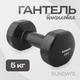 Гантель Sundays Fitness IR92005 (5кг, черный) - 