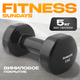Гантель Sundays Fitness IR92005 (5кг, черный) - 