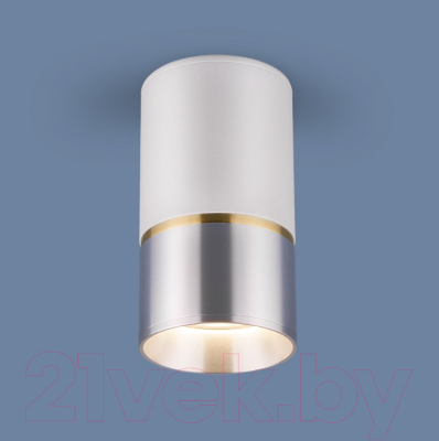 Точечный светильник Elektrostandard DLN106 GU10 (белый/серебристый)