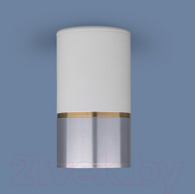 Точечный светильник Elektrostandard DLN106 GU10 (белый/серебристый)