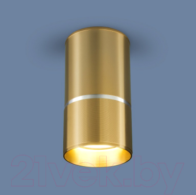 Точечный светильник Elektrostandard DLN106 GU10 (золото)