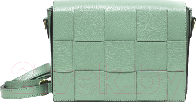 Сумка Vera Pelle 63723 (фисташковый)