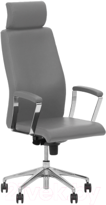 

Кресло офисное Nowy Styl, Success HR Steel ES
