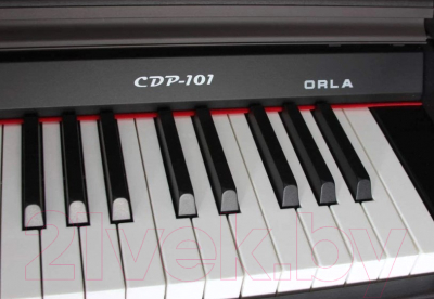 Цифровое фортепиано Orla CDP 1 Rosewood