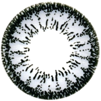 

Комплект контактных линз, Dream Grey Sph-2.50