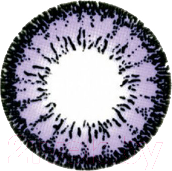 Комплект контактных линз Hera Dream Violet Sph-2.50 (2шт)