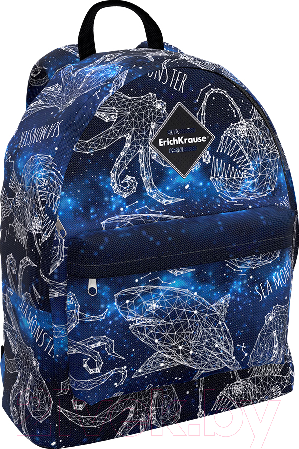 Школьный рюкзак Erich Krause EasyLine 17L Magic Sea World / 48627