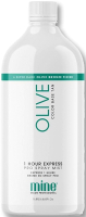 Лосьон-автозагар MineTan Olive (1л) - 