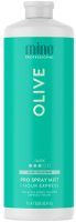 Лосьон-автозагар MineTan Olive (1л) - 