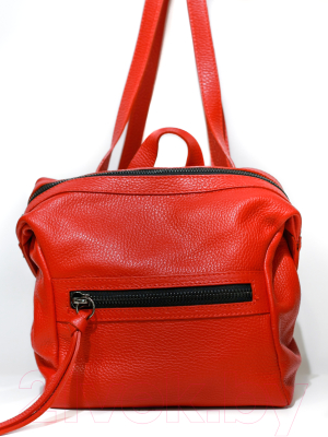 

Рюкзак Borse in Pelle, 66225