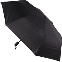 Зонт складной ArtRain 3950 - 