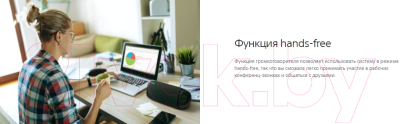 Портативная колонка Sony SRS-XB43 (черный)