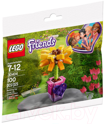Конструктор Lego Friends Цветок дружбы 30404