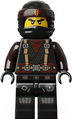 Конструктор Lego Ninjago Коул — Мастер дракона 70645