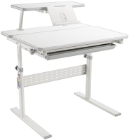 Парта Растущая мебель Study Desk E202S (с полкой) - 