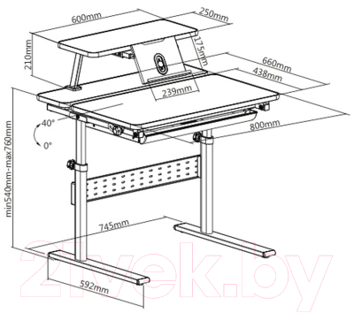Парта Растущая мебель Study Desk E202S (с полкой)