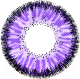 Комплект контактных линз Hera Classic Violet Sph-2.50 (2шт) - 
