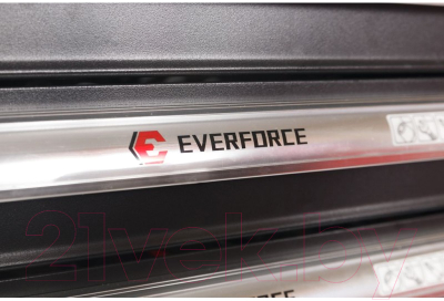 Тележка инструментальная Everforce EF-2210-02