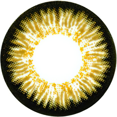 Комплект контактных линз Hera Paradise Brown Sph-3.00 (2шт) - 