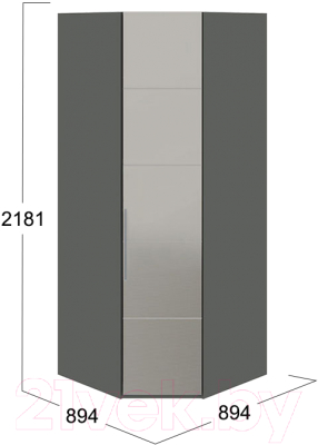 Шкаф ТриЯ Наоми СМ-208.07.07 R (серый/джут)
