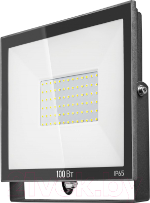 

Прожектор Онлайт, OFL-100-6K-BL-IP65-LED / 61948