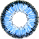 Комплект контактных линз Hera Classic Blue Sph-5.50 (2шт) - 