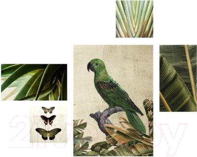 Картина модульная Orlix Set Зеленый попугай / CA-12825