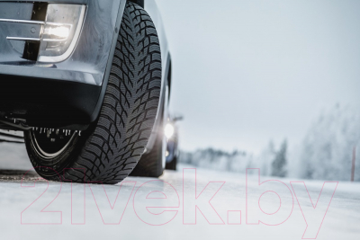Зимняя шина Nokian Tyres Hakkapeliitta R3 SUV 255/40R20 101T