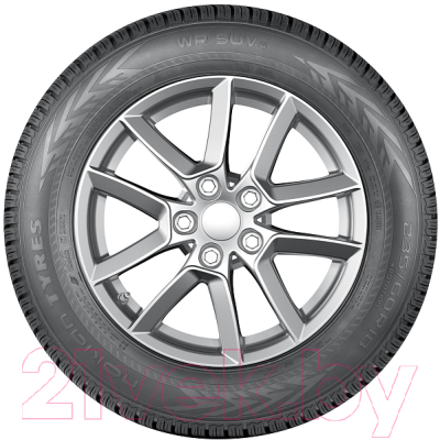 Зимняя шина Nokian Tyres WR SUV 4 255/45R19 104V