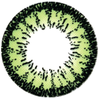 Комплект контактных линз Hera Dream Green Sph-5.50 (2шт) - 