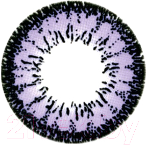 Комплект контактных линз Hera Dream Violet Sph-4.00 (2шт)