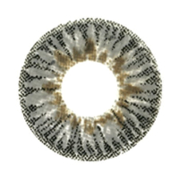 Комплект контактных линз Hera Elegance Grey Sph-5.00 (2шт) - 