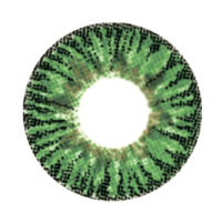 Комплект контактных линз Hera Elegance Green Sph-4.50 (2шт) - 