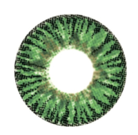 Комплект контактных линз Hera Elegance Green Sph-6.00 (2шт) - 