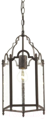 Потолочный светильник FAVOURITE Mirum 1954-1P