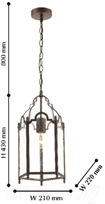 Потолочный светильник FAVOURITE Mirum 1954-1P