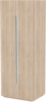 Шкаф 3Dom Фореста РС700/2 (дуб бардолино серый/голубой горизонт) - 