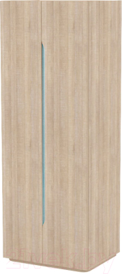Шкаф 3Dom Фореста РС700/2 (дуб бардолино серый/голубой горизонт)