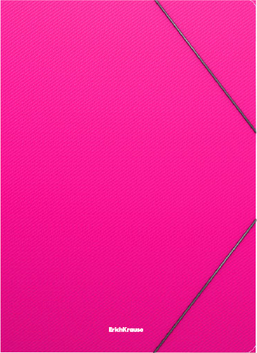 Папка для бумаг Erich Krause Diagonal Vivid / 50380