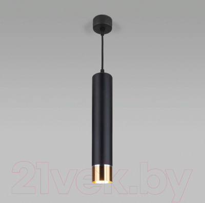 Потолочный светильник Elektrostandard DLN107 GU10 (черный/золото)